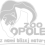 opole transparent bw opole transparent bw